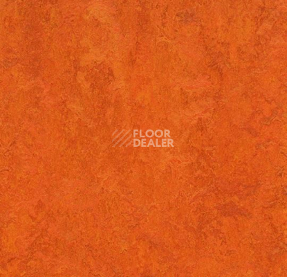 Линолеум Forbo Marmoleum Marbled Fresco 3126-312635 Kyoto фото 1 | FLOORDEALER